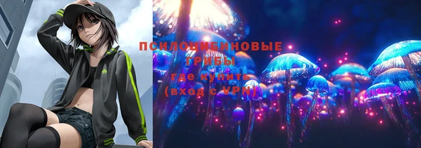 мдпв Балабаново