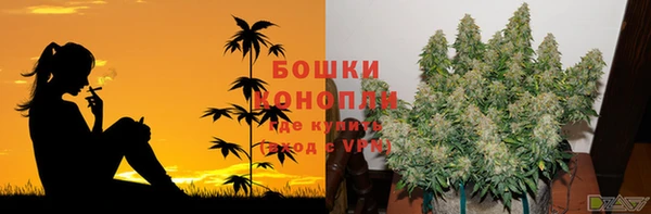 молекула духа Балахна