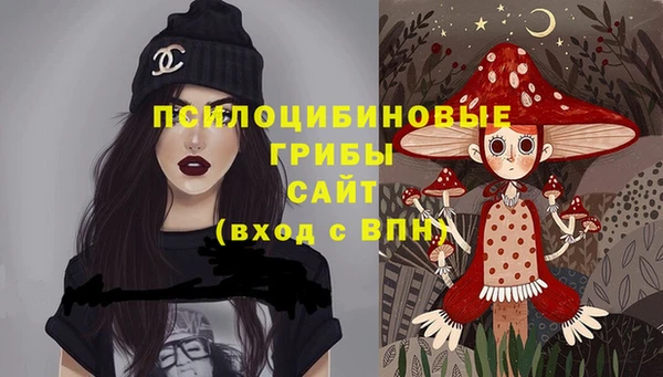 молекула духа Балахна