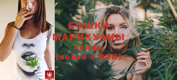 молекула духа Балахна