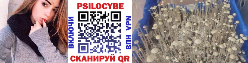 Псилоцибиновые грибы Magic Shrooms  KRAKEN маркетплейс  Гдов 